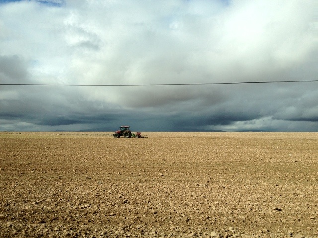 20111116-124834.jpg