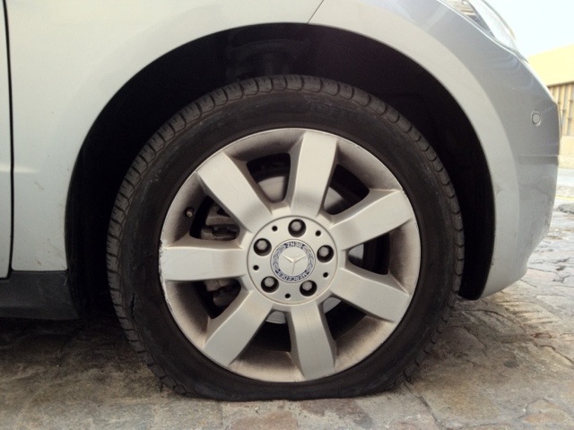 20111116-125200.jpg